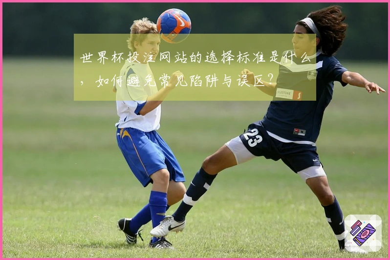 世界杯投注网站的选择标准是什么，如何避免常见陷阱与误区？