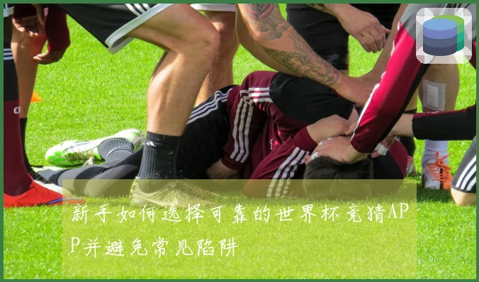 新手如何选择可靠的世界杯竞猜APP并避免常见陷阱