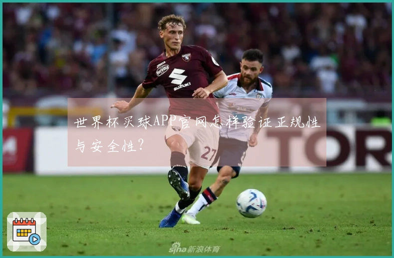 世界杯买球APP官网怎样验证正规性与安全性？