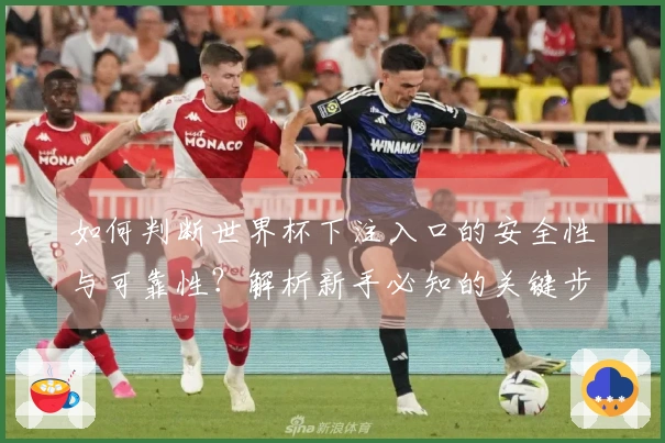 如何判断世界杯下注入口的安全性与可靠性？解析新手必知的关键步骤