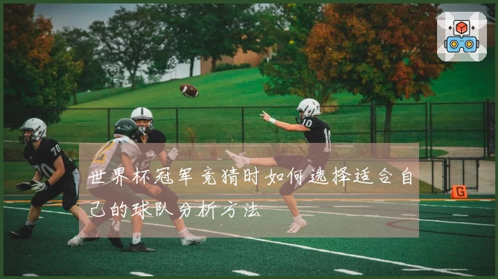 世界杯冠军竞猜时如何选择适合自己的球队分析方法