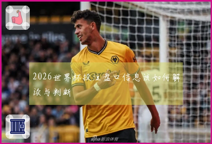 2026世界杯投注盘口信息该如何解读与判断