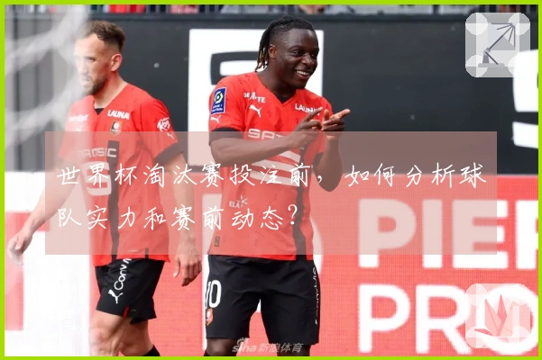 世界杯淘汰赛投注前，如何分析球队实力和赛前动态？