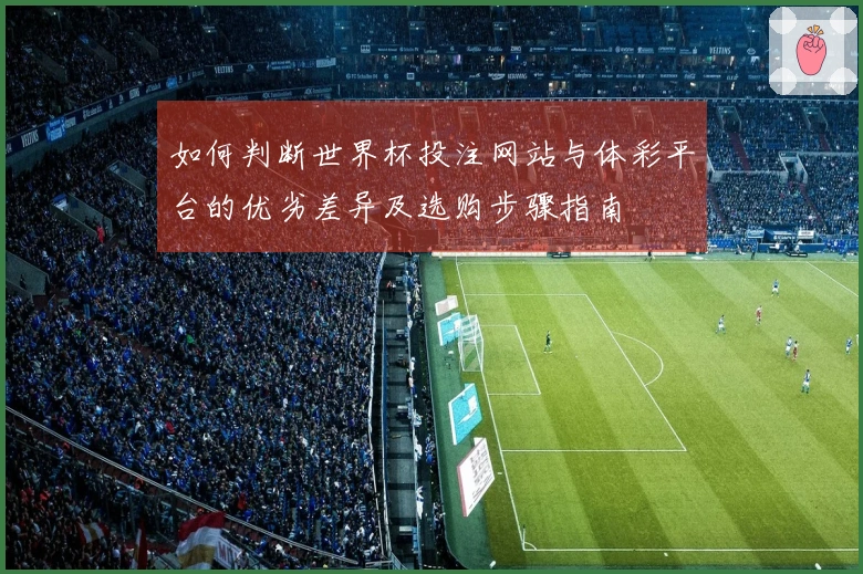 如何判断世界杯投注网站与体彩平台的优劣差异及选购步骤指南