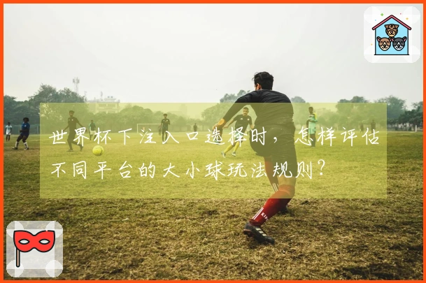 世界杯下注入口选择时，怎样评估不同平台的大小球玩法规则？