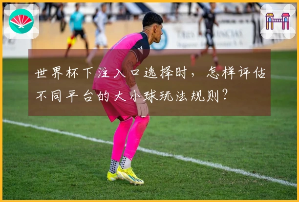 世界杯下注入口选择时，怎样评估不同平台的大小球玩法规则？