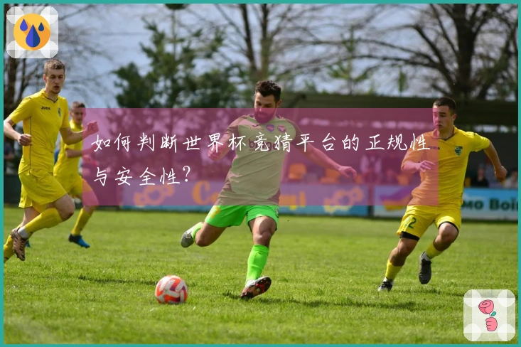 如何判断世界杯竞猜平台的正规性与安全性？