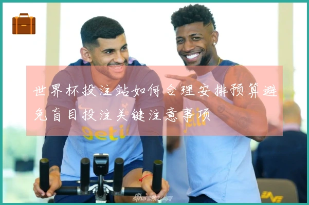 世界杯投注站如何合理安排预算避免盲目投注关键注意事项