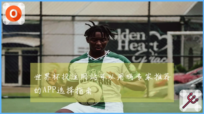 世界杯投注网站可以用吗专家推荐的APP选择指南