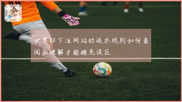 世界杯下注网站的返水规则如何查阅和理解才能避免误区