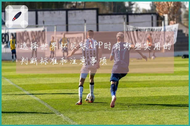 选择世界杯买球APP时有哪些实用的判断标准和注意事项