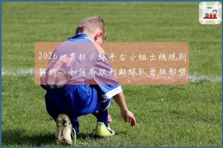 2026世界杯买球平台小组出线规则解析，如何有效判断球队晋级形势？