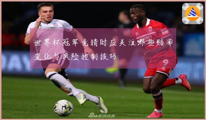 世界杯冠军竞猜时应关注哪些赔率变化与风险控制技巧