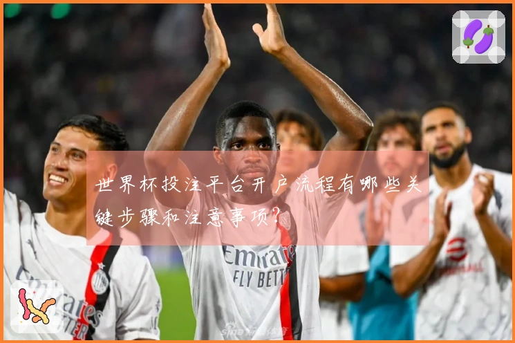 世界杯投注平台开户流程有哪些关键步骤和注意事项？