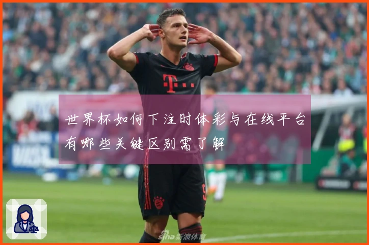 世界杯如何下注时体彩与在线平台有哪些关键区别需了解