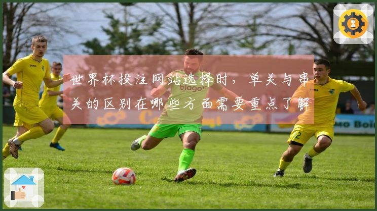 世界杯投注网站选择时，单关与串关的区别在哪些方面需要重点了解？