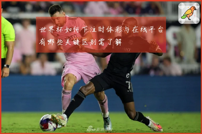 世界杯如何下注时体彩与在线平台有哪些关键区别需了解