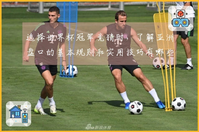 选择世界杯冠军竞猜时，了解亚洲盘口的基本规则和实用技巧有哪些？