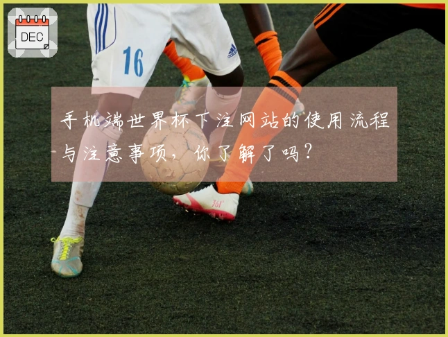 手机端世界杯下注网站的使用流程与注意事项，你了解了吗？