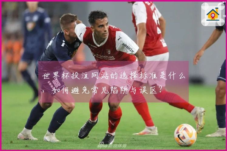 世界杯投注网站的选择标准是什么，如何避免常见陷阱与误区？