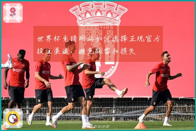 世界杯竞猜网站如何选择正规官方投注渠道，避免踩雷和损失