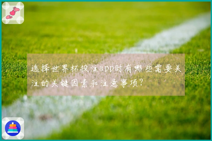 选择世界杯投注app时有哪些需要关注的关键因素和注意事项？