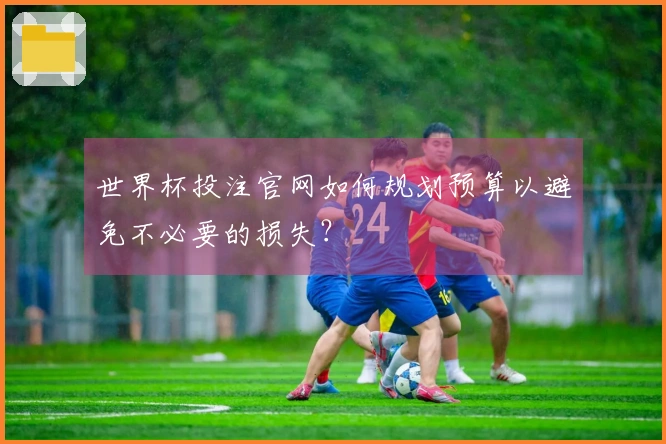 世界杯投注官网如何规划预算以避免不必要的损失？