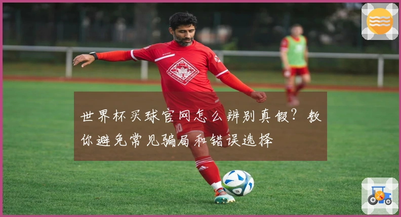 世界杯买球官网怎么辨别真假？教你避免常见骗局和错误选择