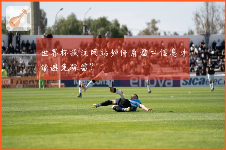 世界杯投注网站如何看盘口信息才能避免踩雷？